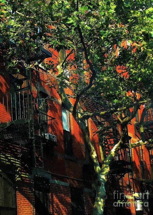 Apartments Greeting Card featuring the painting On the Shady Side by RC DeWinter