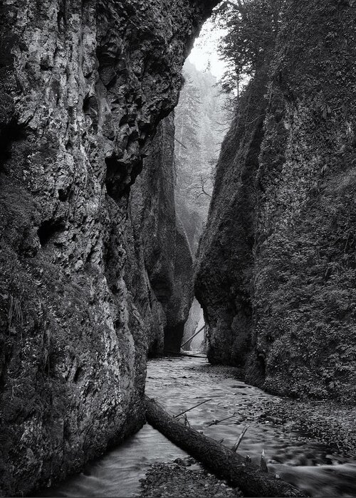 Creek Greeting Card featuring the photograph Oneonta Gorge by Jon Ares
