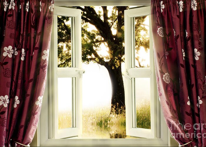 Window Greeting Card featuring the photograph Open window to tree by Simon Bratt