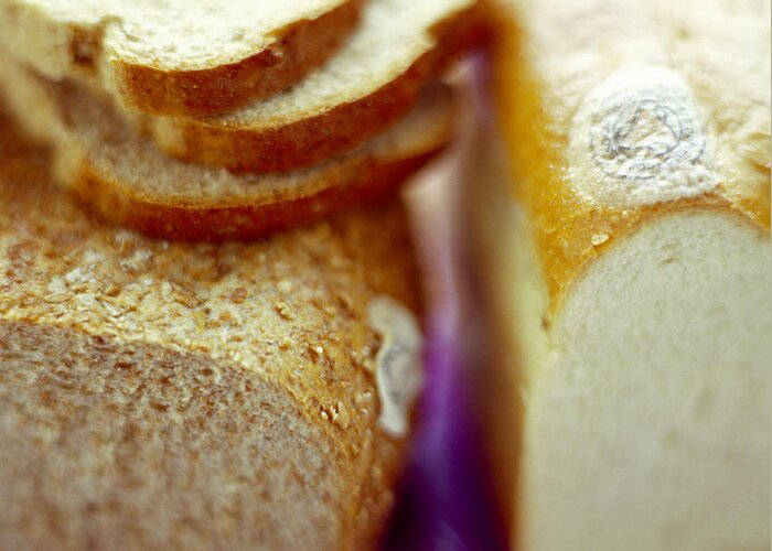 Bread Greeting Card featuring the photograph Organic Bread by David Munns