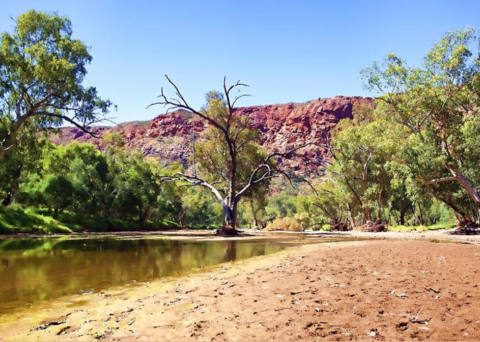 Outback Greeting Card featuring the photograph Outback River by Paul Svensen
