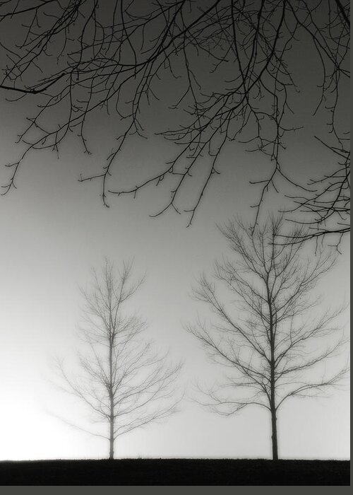 Fog Greeting Card featuring the photograph Outstretched Limbs by Rod Kaye