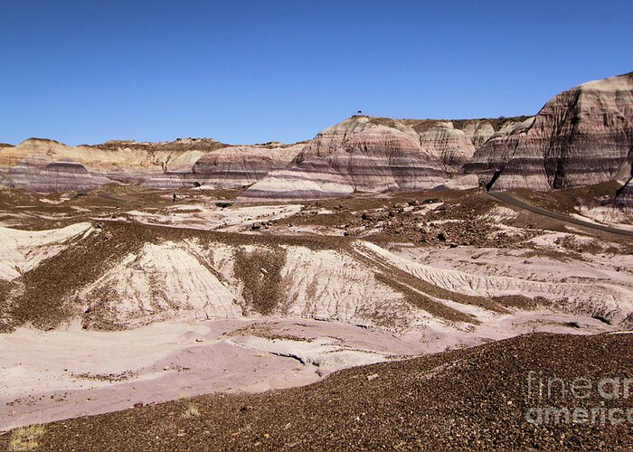Petrified Forest National Park Greeting Card featuring the photograph Painted Desert Landscape by Adam Jewell