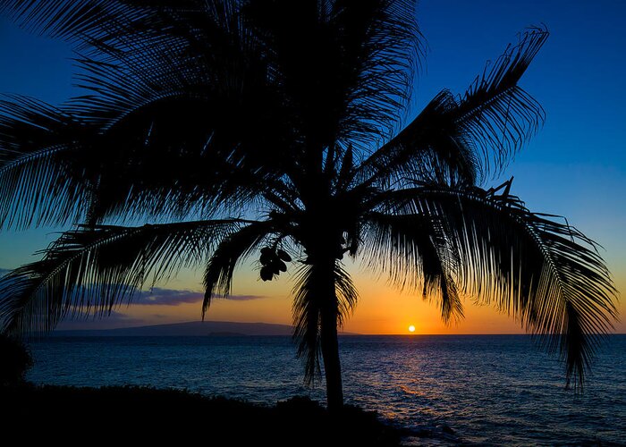 Buhler's Greeting Card featuring the photograph Palm Sunset by David Buhler