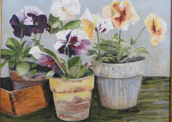 Floral Greeting Card featuring the painting Pansies by Cindy Plutnicki