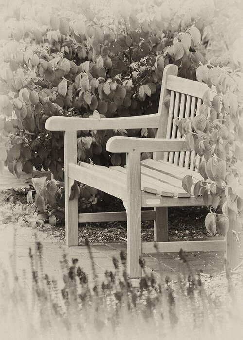 Park Greeting Card featuring the photograph Park Bench by Bill Barber