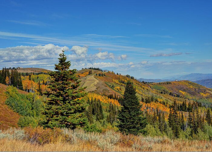 Park City Greeting Card featuring the photograph Park City Fall Landscape by Vicki Gaebe