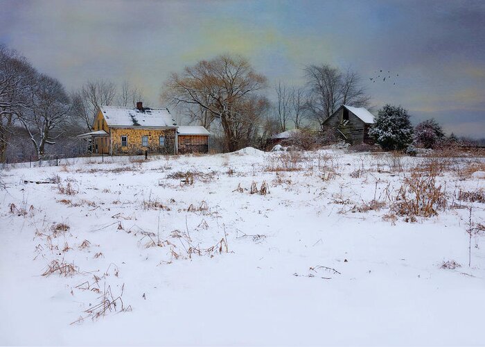 Winter Greeting Card featuring the photograph Pastel Winter by Robin-Lee Vieira