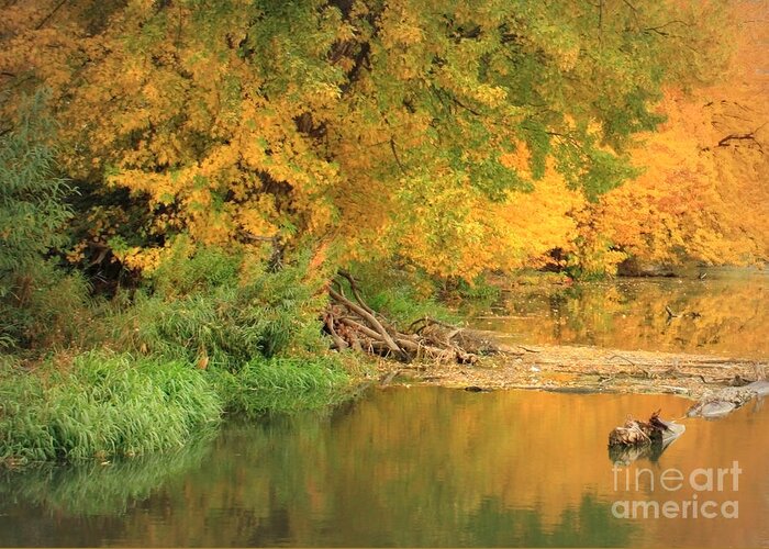 Autumn Greeting Card featuring the photograph Peaceful Autumn River by Carol Groenen