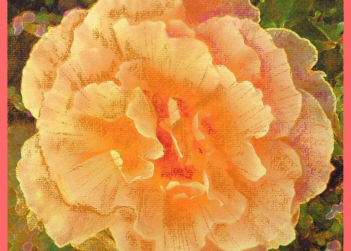 Rose Greeting Card featuring the painting Peach Begonia by Richard James Digance