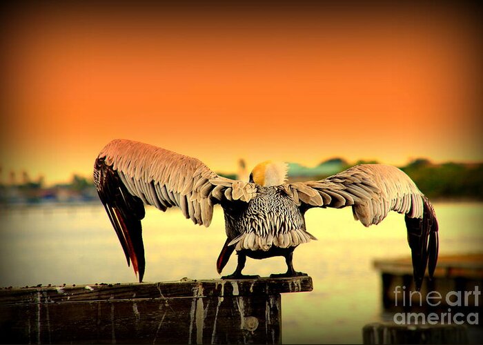 Pelican Greeting Card featuring the photograph Pelicans flight into Sunset by Susanne Van Hulst