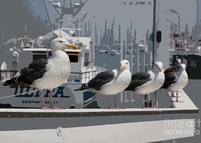 Artistic Greeting Card featuring the photograph Perched Seagulls by Sonny Marcyan