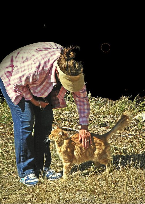 Expressive Greeting Card featuring the photograph Petting the Ranch Cat by Lenore Senior