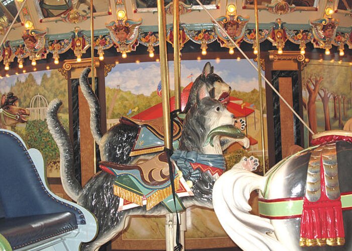 Carousel Greeting Card featuring the photograph Philadelphia Style Cats by Barbara McDevitt