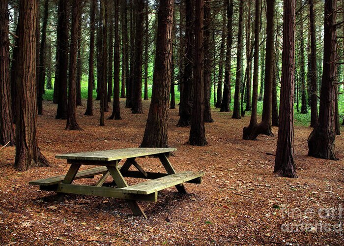 Autumn Greeting Card featuring the photograph Picnic Table by Carlos Caetano