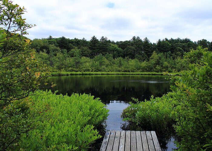 Ward Reservation Greeting Card featuring the photograph Pine Hole Pond by Jeff Heimlich