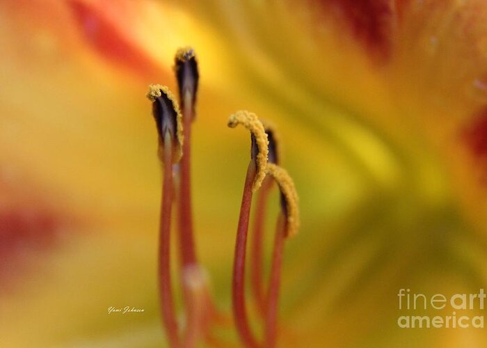 Pistils Greeting Card featuring the photograph Pistils of the daylily by Yumi Johnson