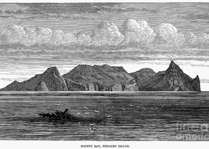 1879 Greeting Card featuring the photograph Pitcairn Island, 1879 by Granger