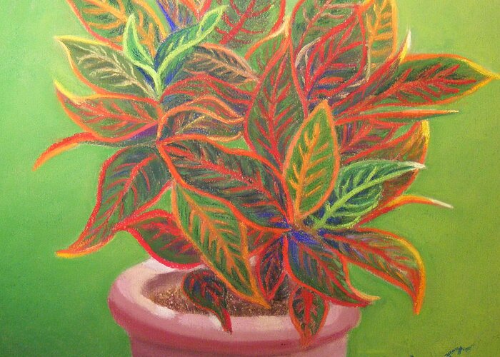 Croton Greeting Card featuring the pastel Plant Portrait II by Diane Ferguson