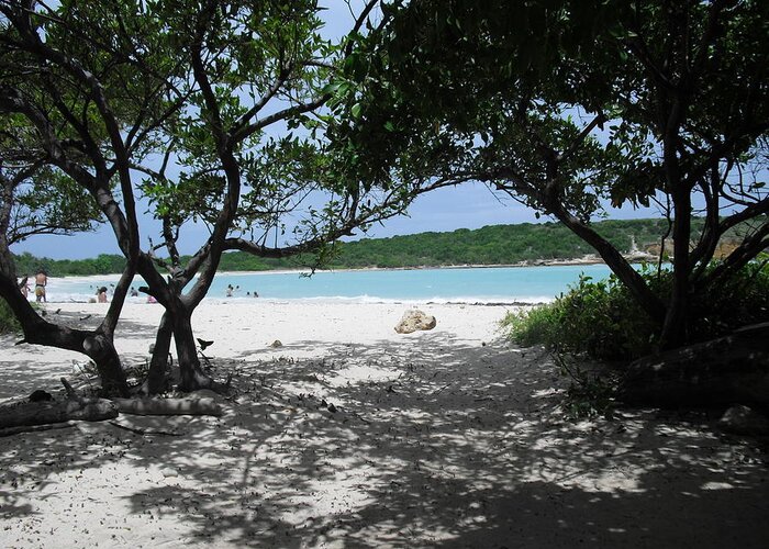 Puerto Rico Beaches Greeting Card featuring the photograph Playa Sucia by Melissa Torres