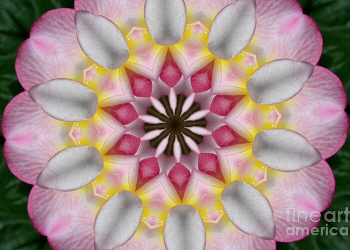 Kaleidoscope Greeting Card featuring the photograph Plumeria 3 by Mark Gilman