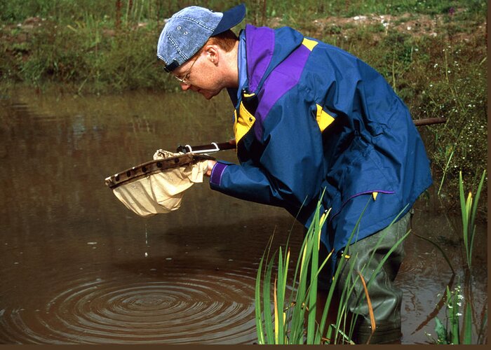 Biology Greeting Card featuring the photograph Pond Dipping by Andy Harmer