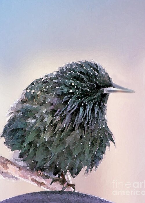 European Starling Greeting Card featuring the photograph Poor Decision by Betty LaRue