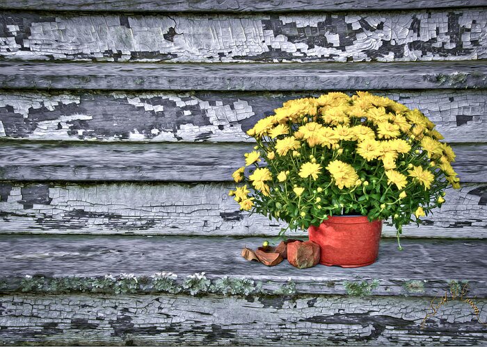 Flowers Greeting Card featuring the photograph Pot of Gold by T Cairns