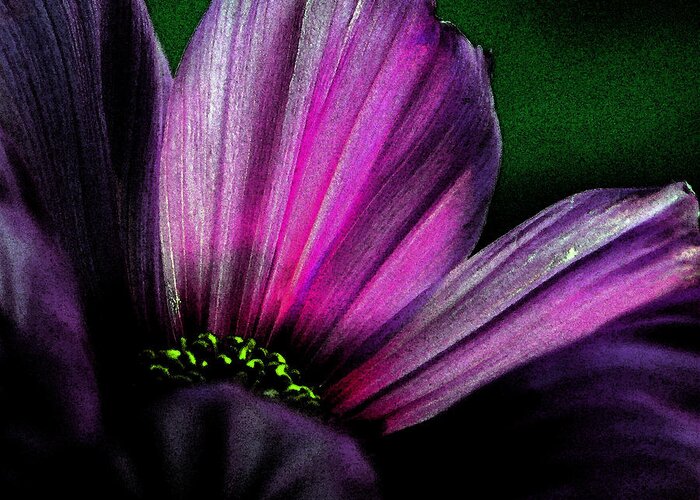Digital Art Greeting Card featuring the photograph Purple Petals by Karen Harrison Brown