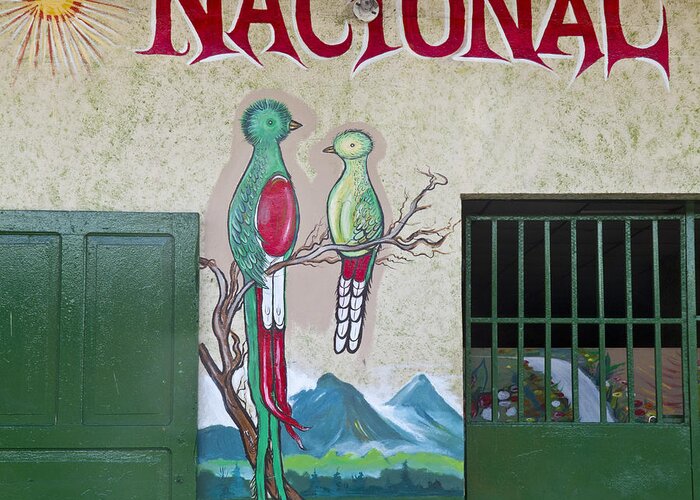 Mural Greeting Card featuring the photograph Quetzal Painting by Heiko Koehrer-Wagner