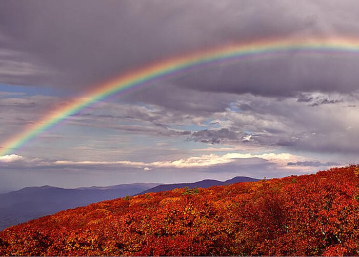 Rainbow Greeting Card featuring the photograph Rainbow by Farol Tomson