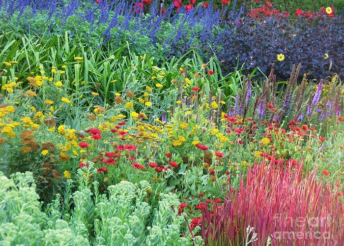 Garden Greeting Card featuring the photograph Rainbow Garden by Michele Penner