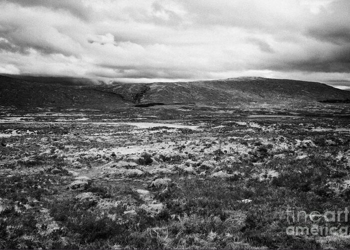 Rannoch Greeting Card featuring the photograph Rannoch Moor In The Highlands Scotland by Joe Fox