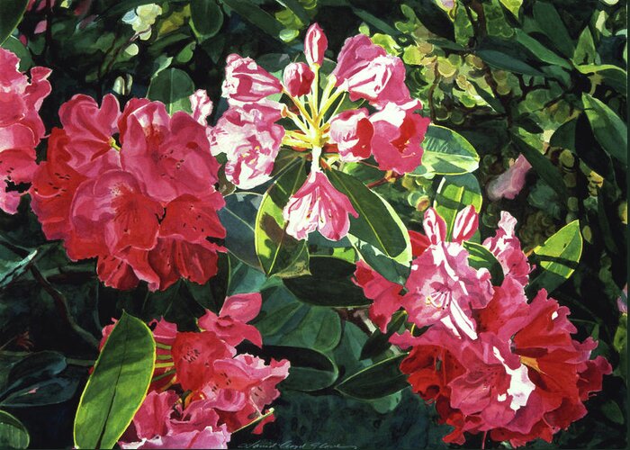 Flower Greeting Card featuring the painting Red Rhodos by David Lloyd Glover
