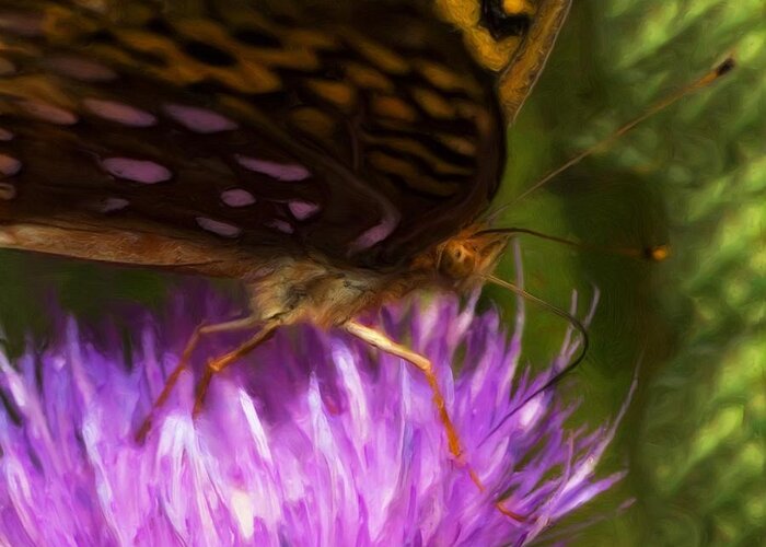 Macro Greeting Card featuring the photograph Reflection In The Wing by Jack Zulli