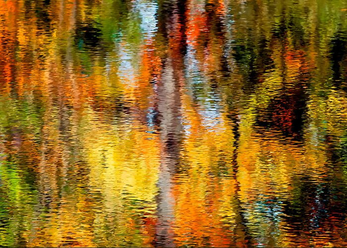Landscape Greeting Card featuring the photograph Reflective Stream by Fred LeBlanc