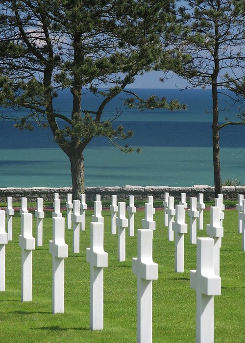 May Greeting Card featuring the photograph Respect - American Cemetery - Normandy 2 by Mary Ellen Mueller Legault