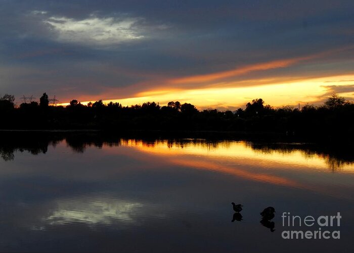 Sunset Greeting Card featuring the photograph Riparian Sunset by Tam Ryan