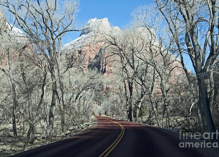 Zion National Park Greeting Card featuring the photograph Road through Zion Canyon by Bob and Nancy Kendrick