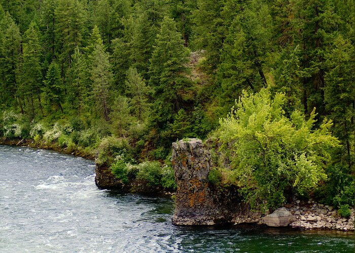 Spokane River Greeting Card featuring the photograph Rockin the Spokane River by Ben Upham III