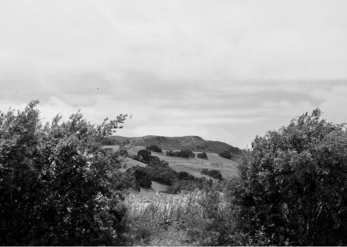 Black And White Greeting Card featuring the photograph Rolling Hills View II - BW by Kathleen Grace