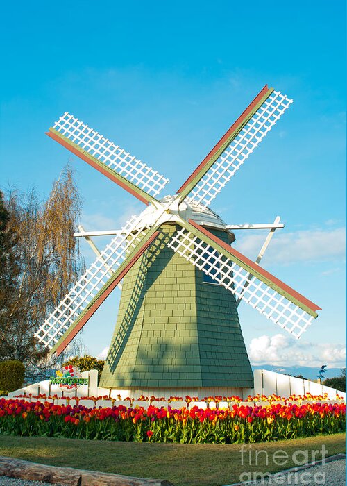 Windmill Greeting Card featuring the photograph Roozengaarde WindMIll by Louise Magno