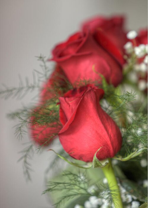 Rose Greeting Card featuring the photograph Roses Still Life 1 by Steve Gravano
