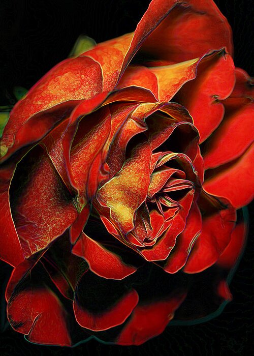 Red Rose Greeting Card featuring the photograph Rosey Hues by Bill and Linda Tiepelman