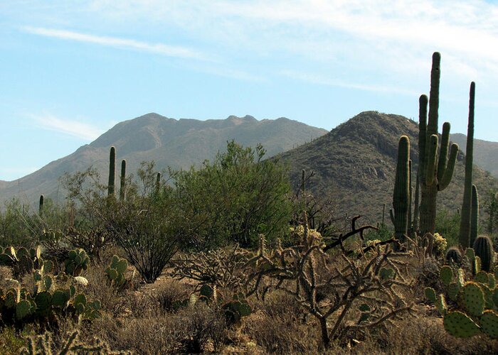 Landscape Greeting Card featuring the photograph Rugged Arizona Terrain by Judy Wanamaker