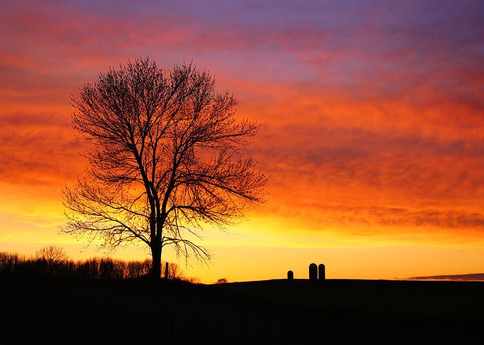Tree Greeting Card featuring the photograph Rural Sunset by Bill Pevlor