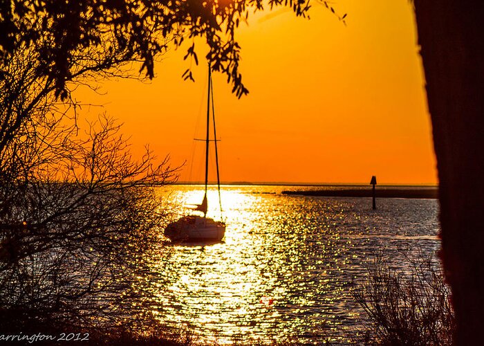Sunset Greeting Card featuring the photograph Sail Away by Shannon Harrington