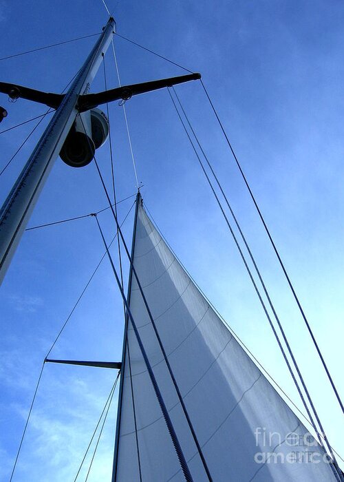 Sailing Greeting Card featuring the photograph Sailing01 by Leela Arnet