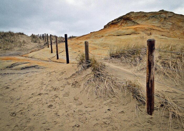 Sand Dunes Greeting Card featuring the photograph Sand Dunes Fence Line by Athena Mckinzie