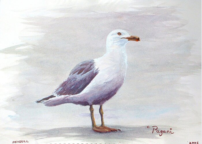 Seagull Greeting Card featuring the painting Seagull by Chriss Pagani